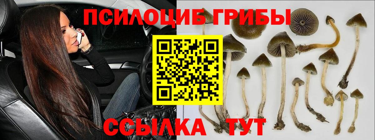 Псилоцибиновые грибы GOLDEN TEACHER  Псилоцибиновые грибы мухоморы  Ирбит  Вход с VPN 